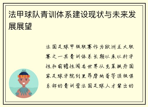 法甲球队青训体系建设现状与未来发展展望